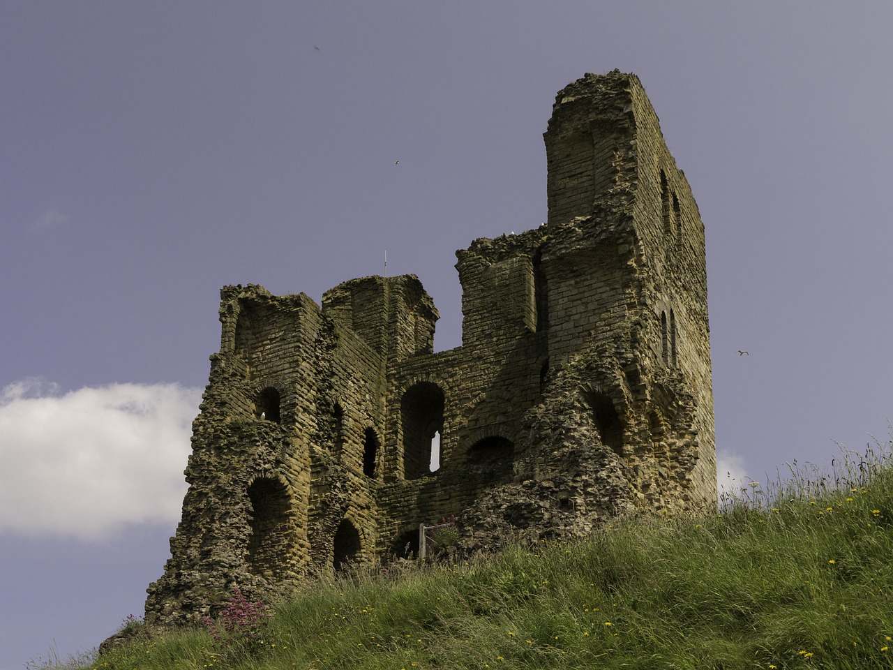 ruin castle burgruine free photo