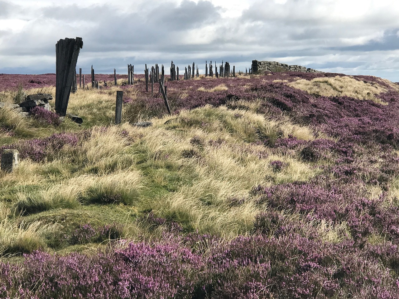 ruin grass moor free photo