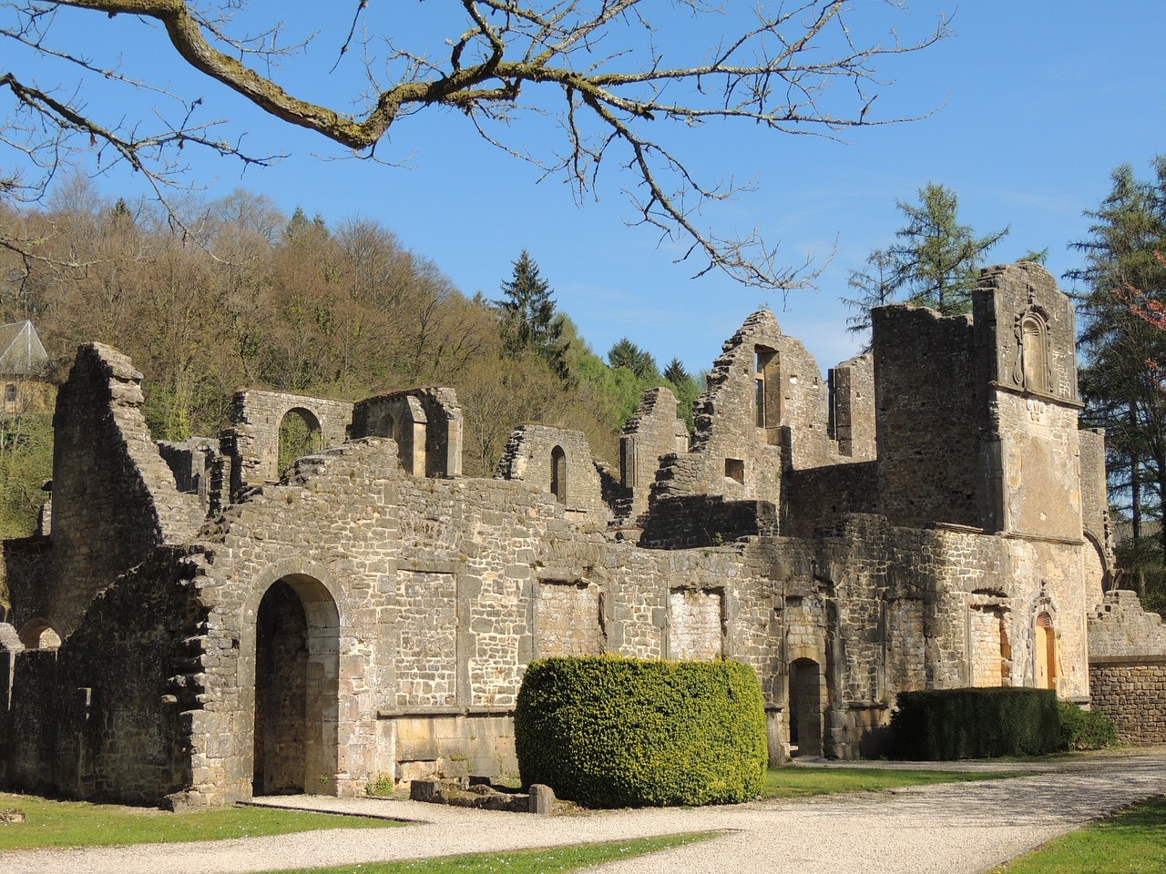 ruin abbey middle ages free photo