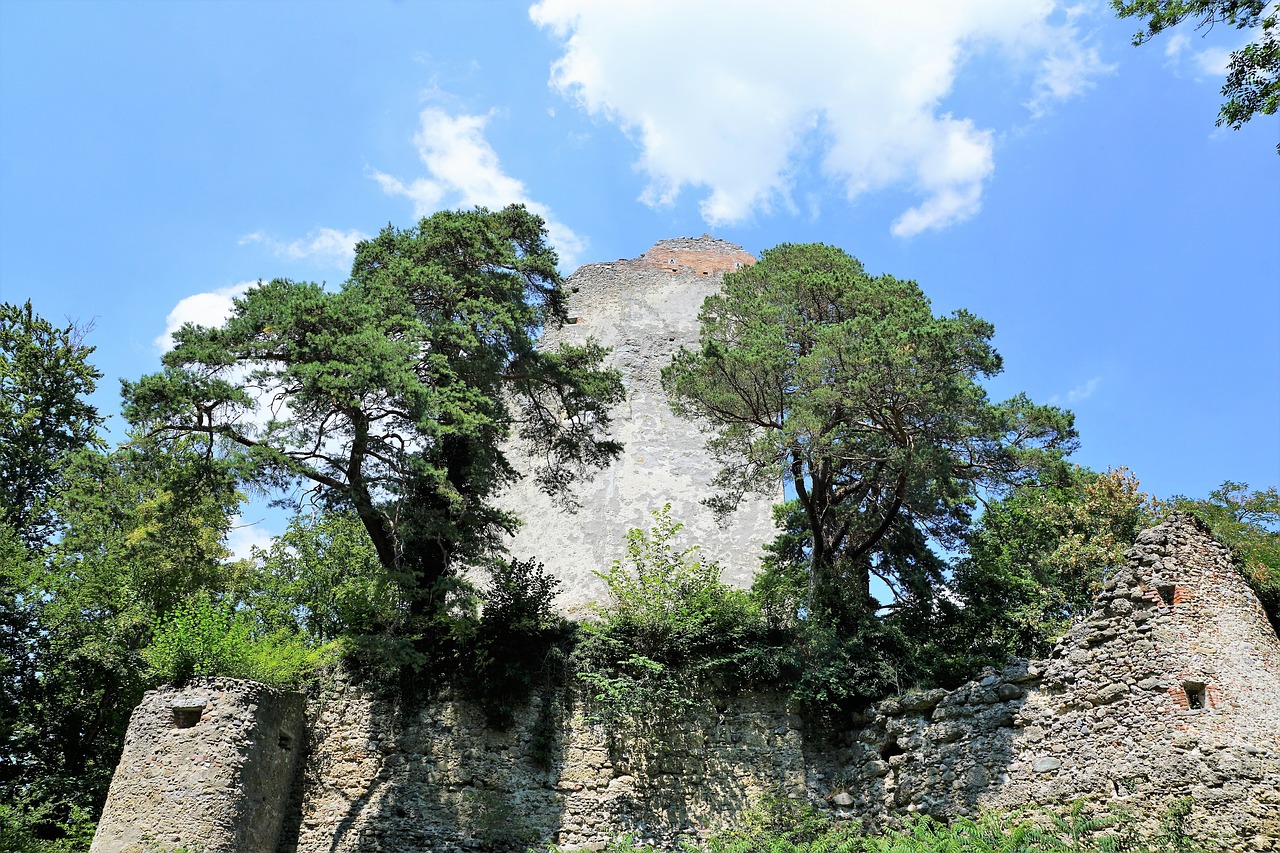 ruin  bodman  nature free photo