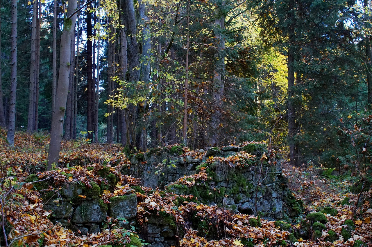 ruin  stone  forest free photo