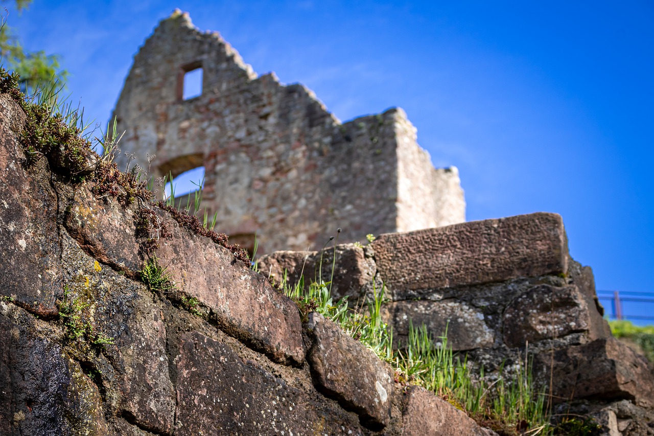 ruin  castle  burgruine free photo