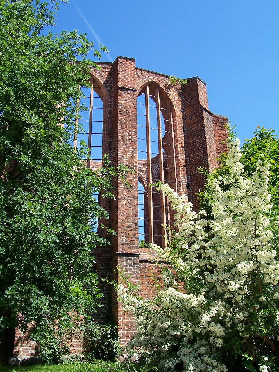 ruin monastery stralsund free photo