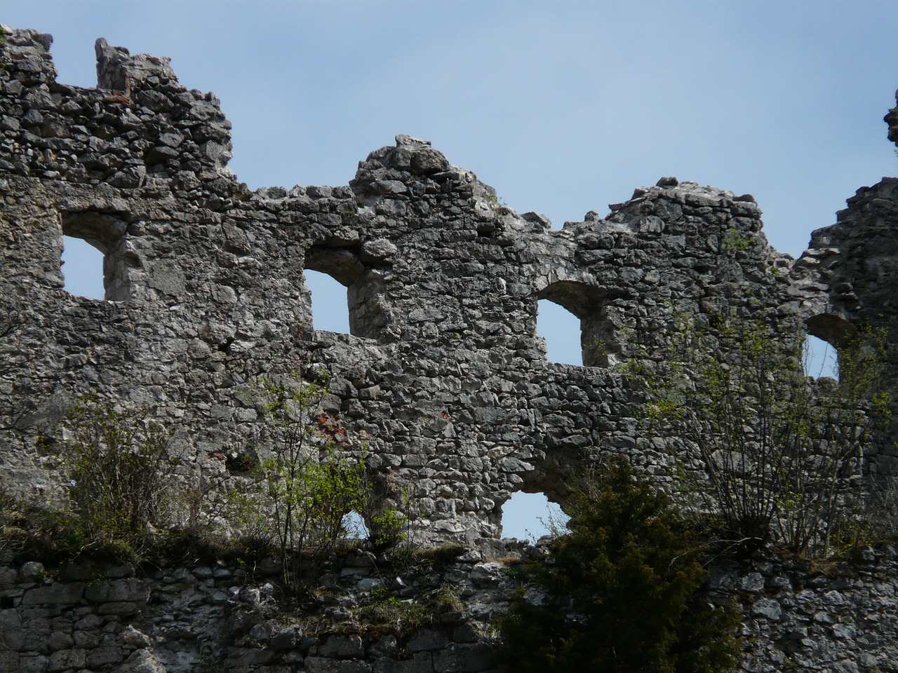 ruin castle window free photo