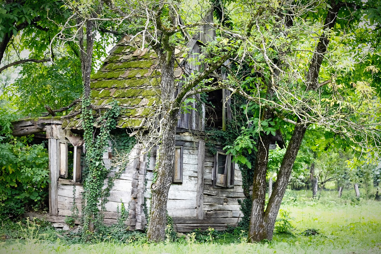 ruins house outdoor free photo