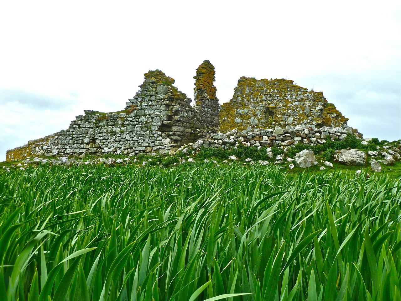ruins grass ruin free photo