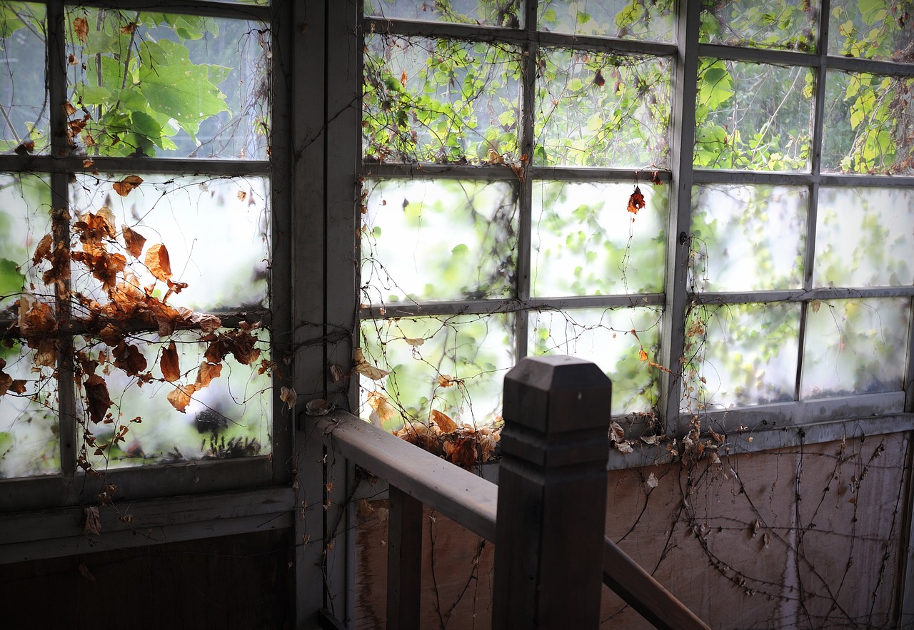 ruins  windows  old windows free photo