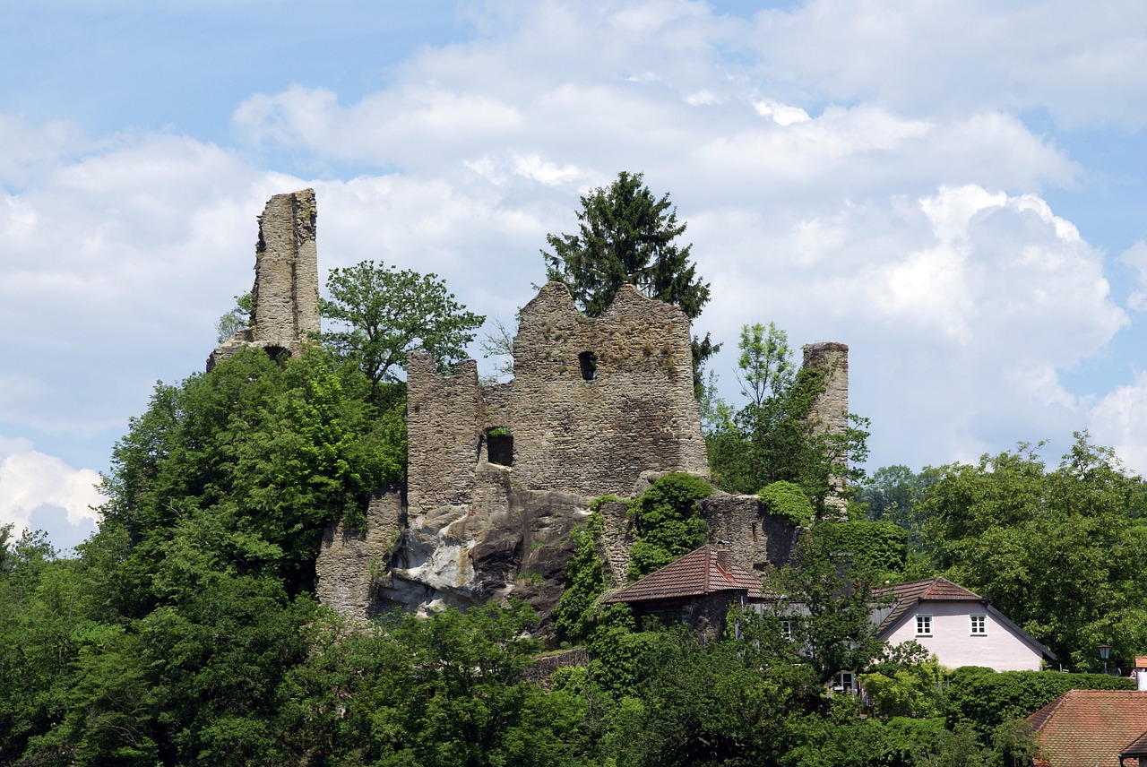 ruins of the castle neck  passau  bavaria free photo