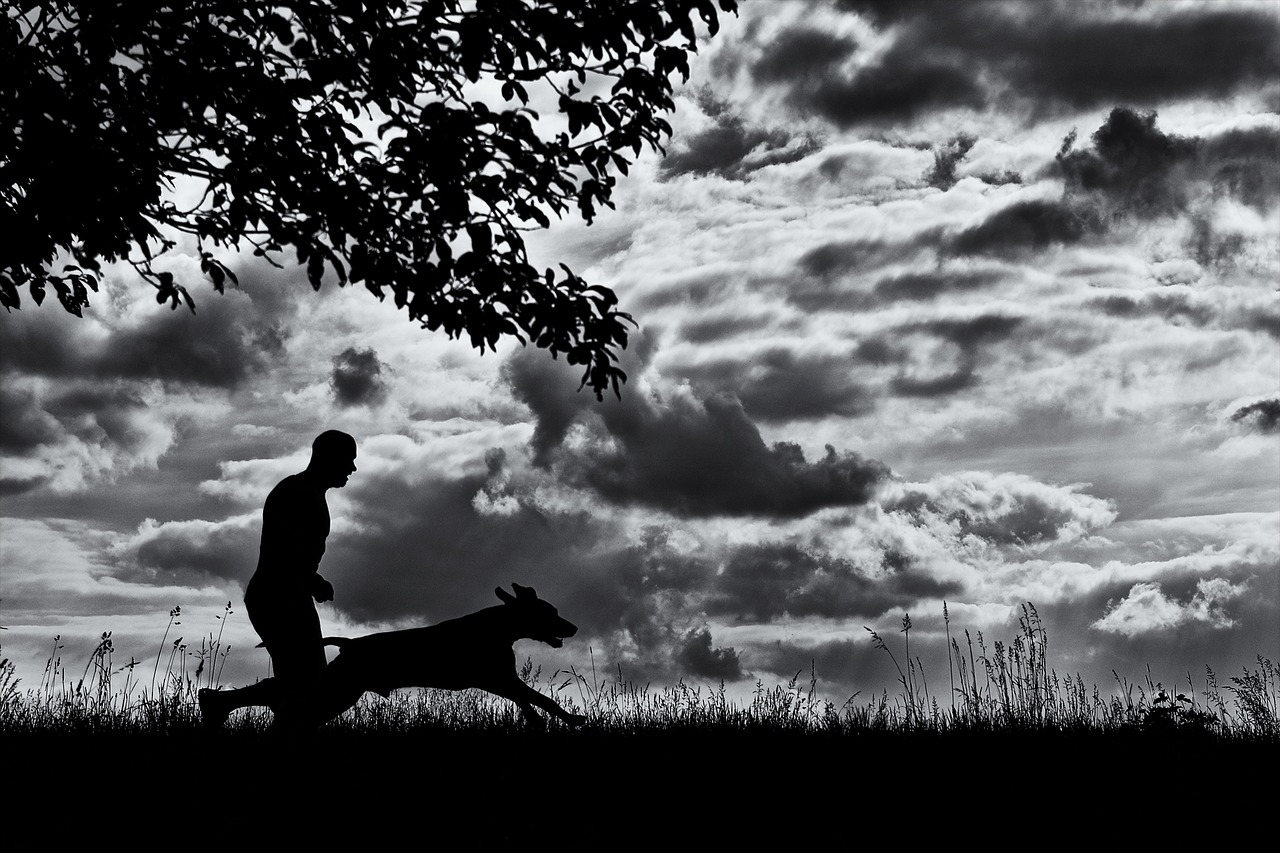 running dog man and dog dog free photo