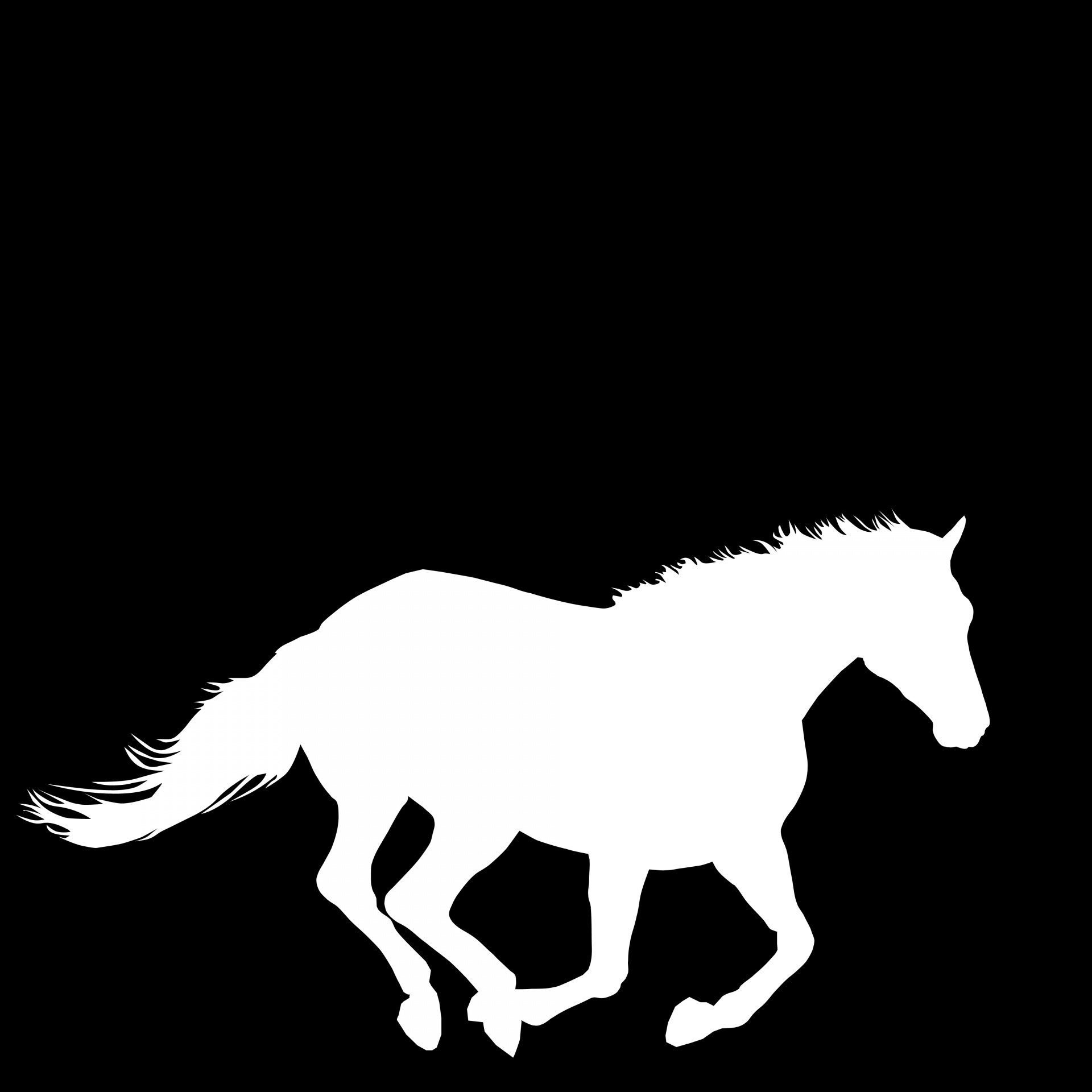 Силуэт лошади белый