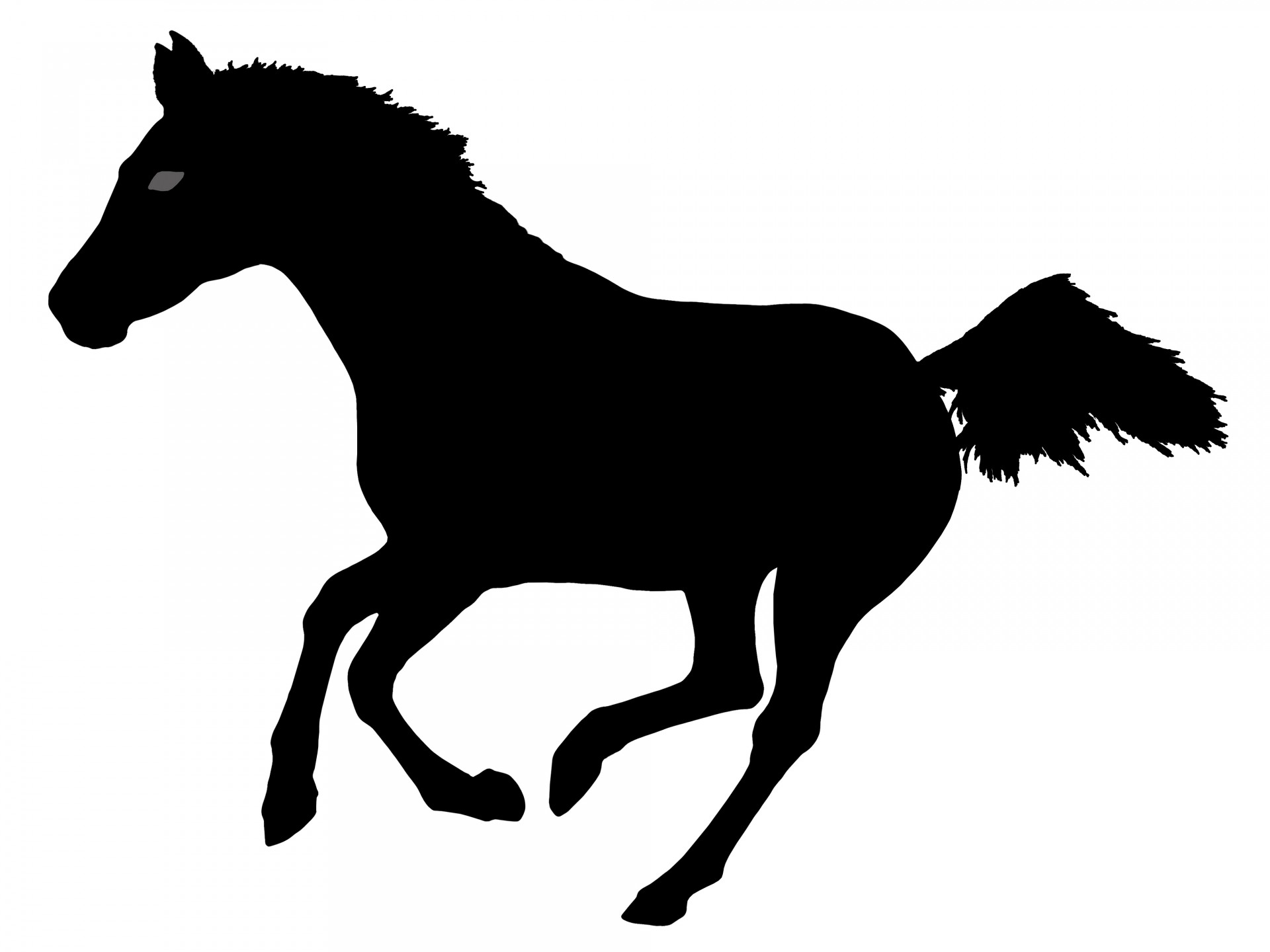 horse running horse horse silhouette free photo