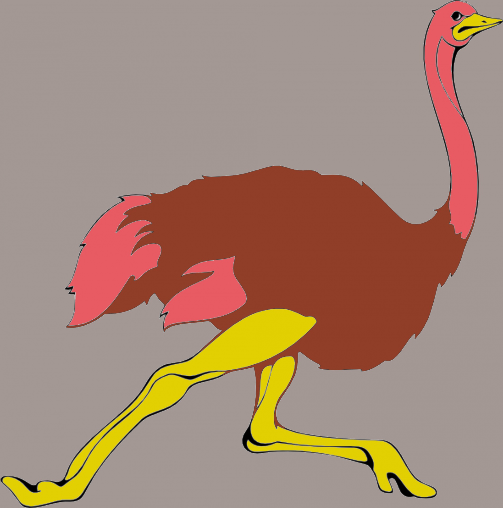 drawing running ostrich free photo