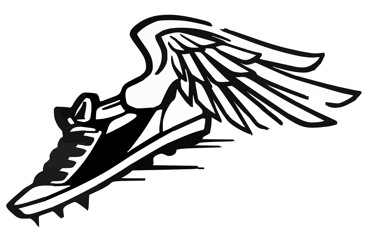 winged shoe icon