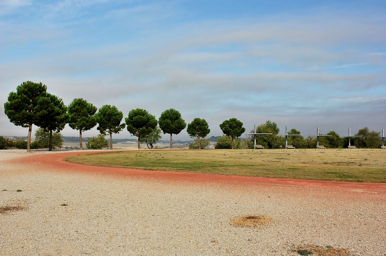 running track running track free photo