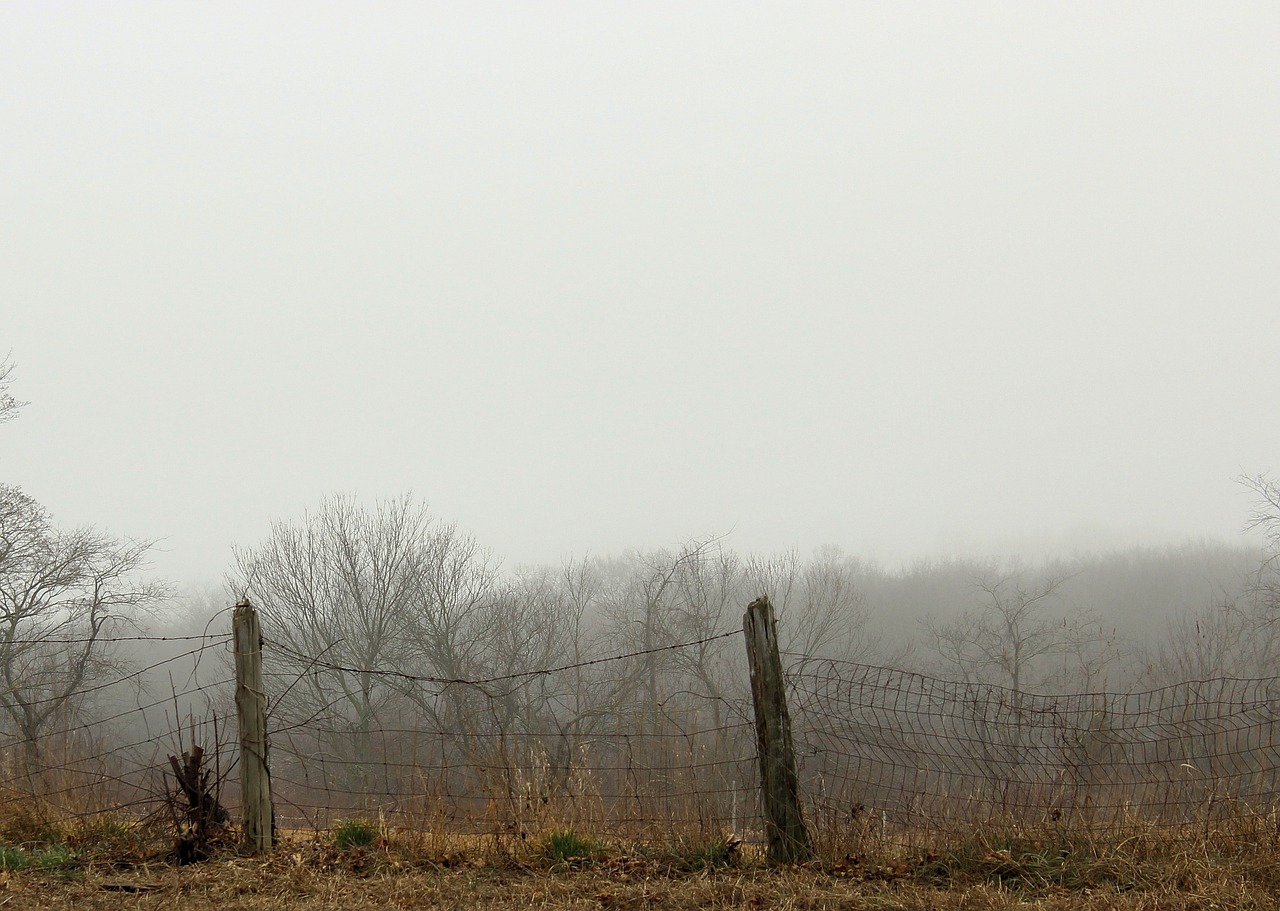 rural country fence free photo