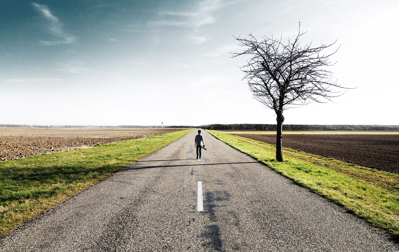 rural road countryside free photo