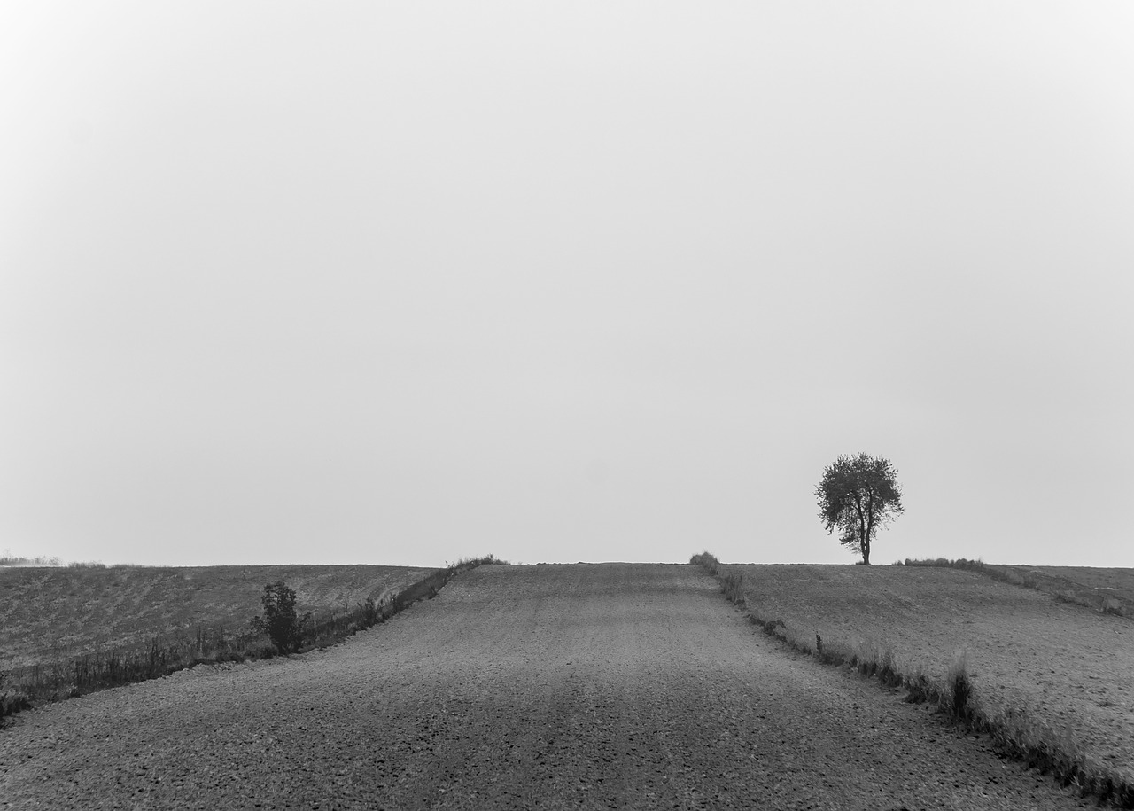 rural countryside road free photo