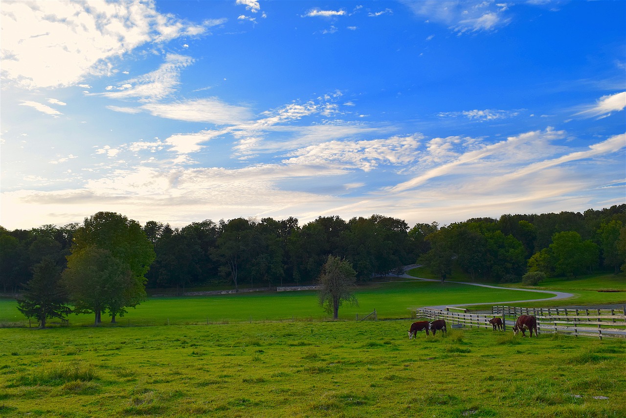 rural pasture green free photo