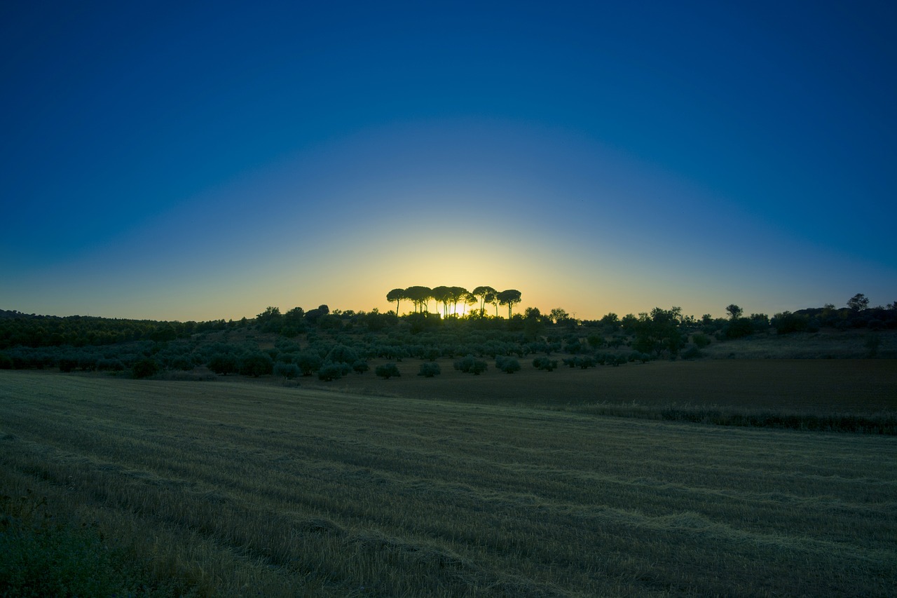 rural  landscape  nature free photo