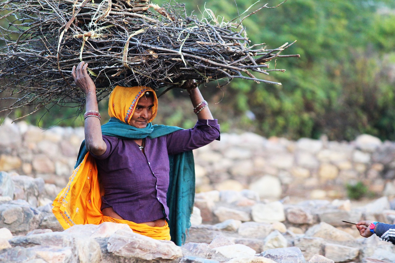 rural  woman  india free photo