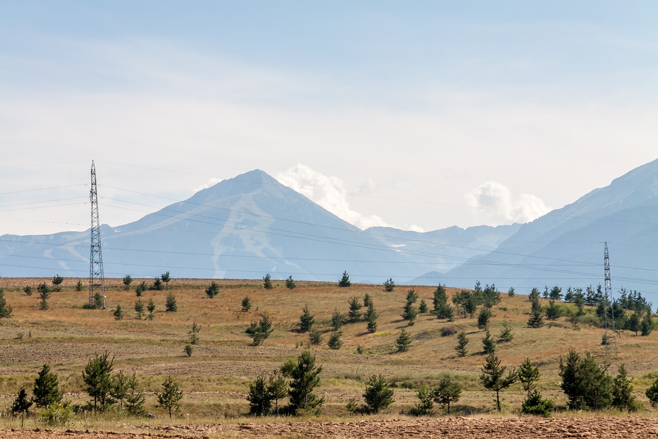 rural  landscape  nature free photo