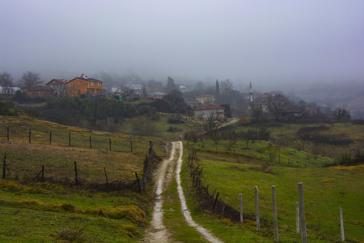 rural  village  landscape free photo