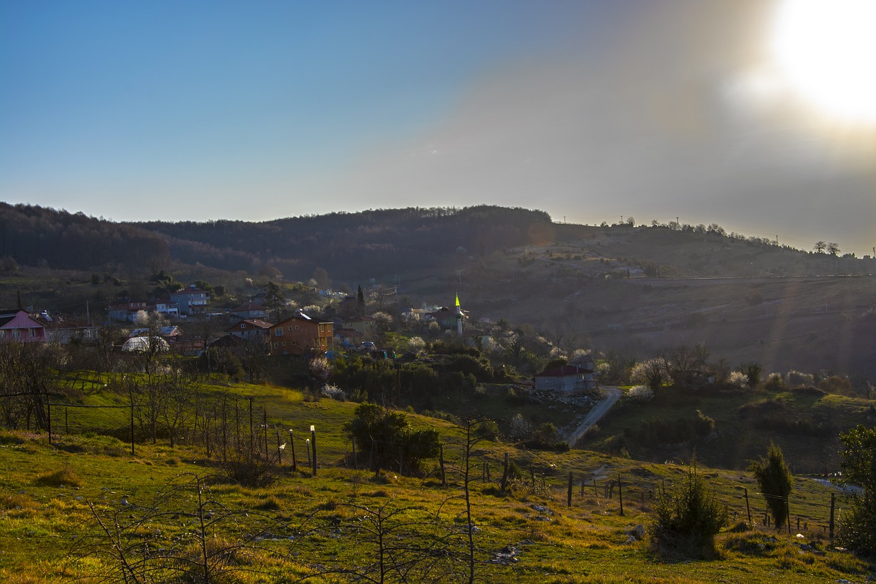 rural  nature  country free photo