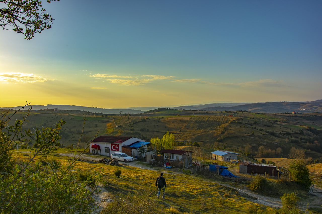 rural  landscape  nature free photo