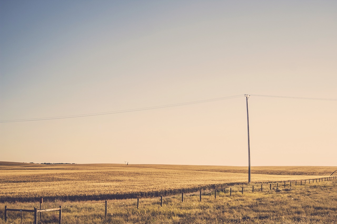 rural fields grass free photo