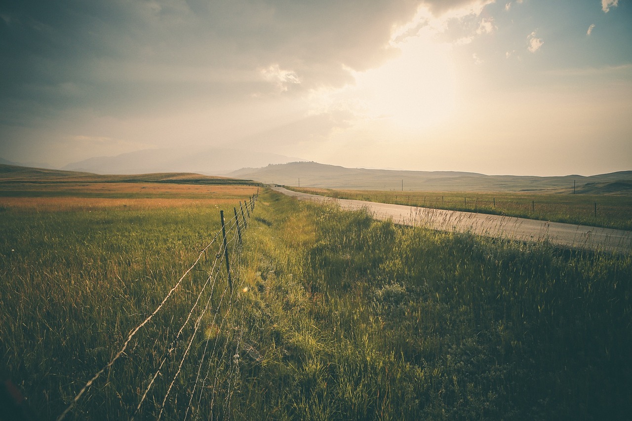 rural road landscape free photo