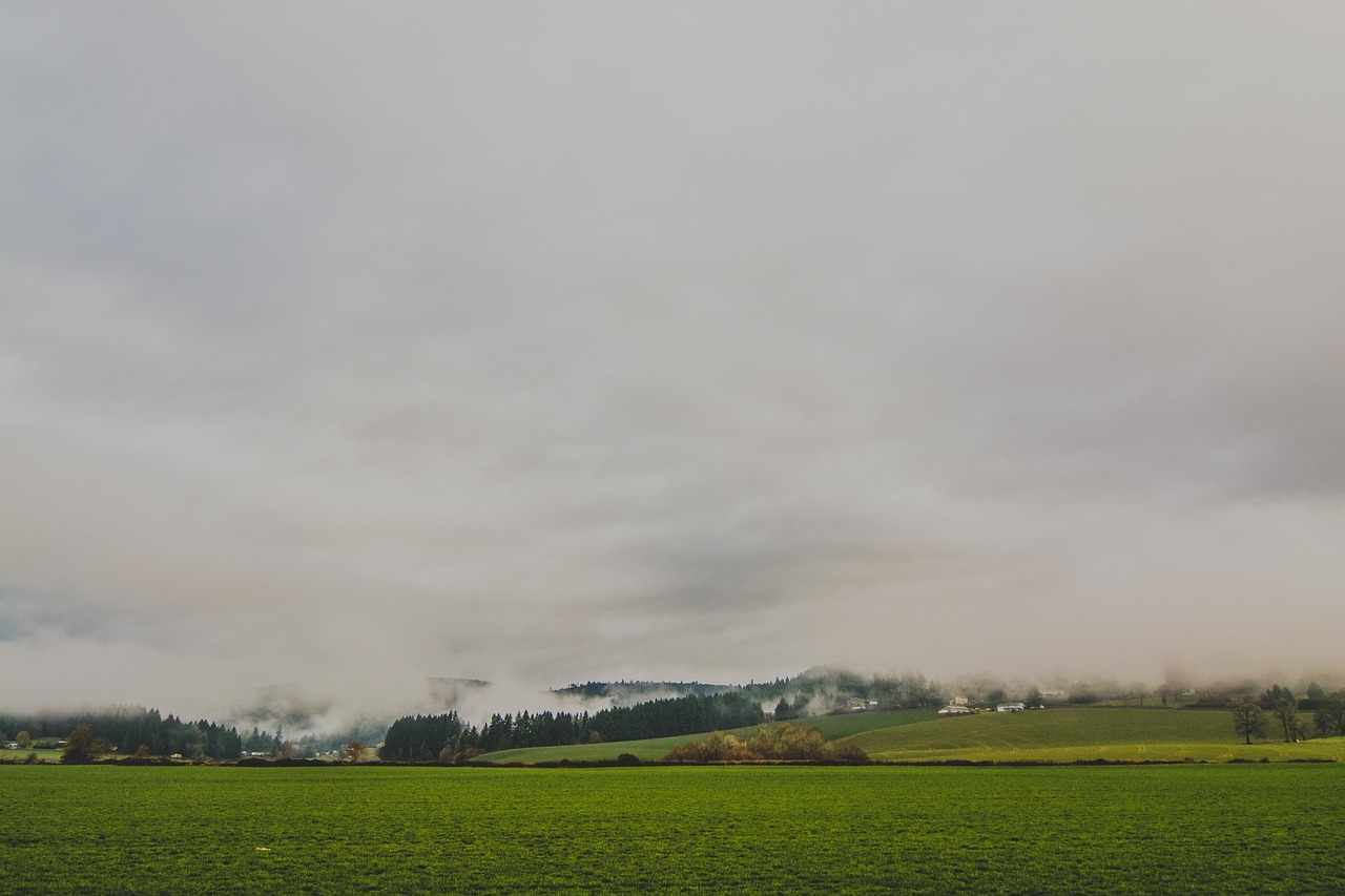 rural countryside fields free photo
