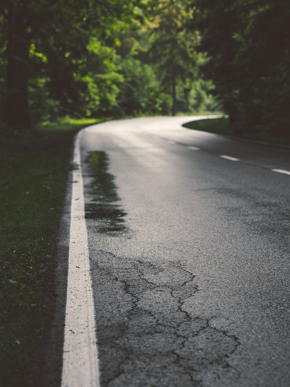 rural road wet free photo