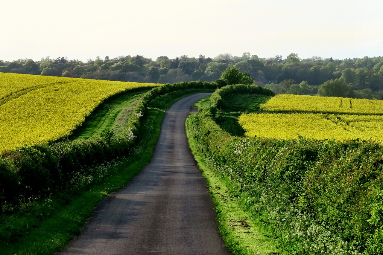 rural road countryside free photo