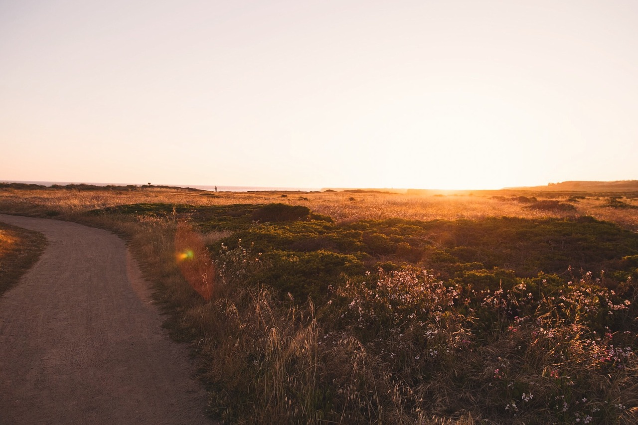 rural road countryside free photo