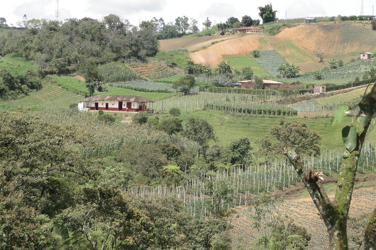 rural harvest landscape free photo