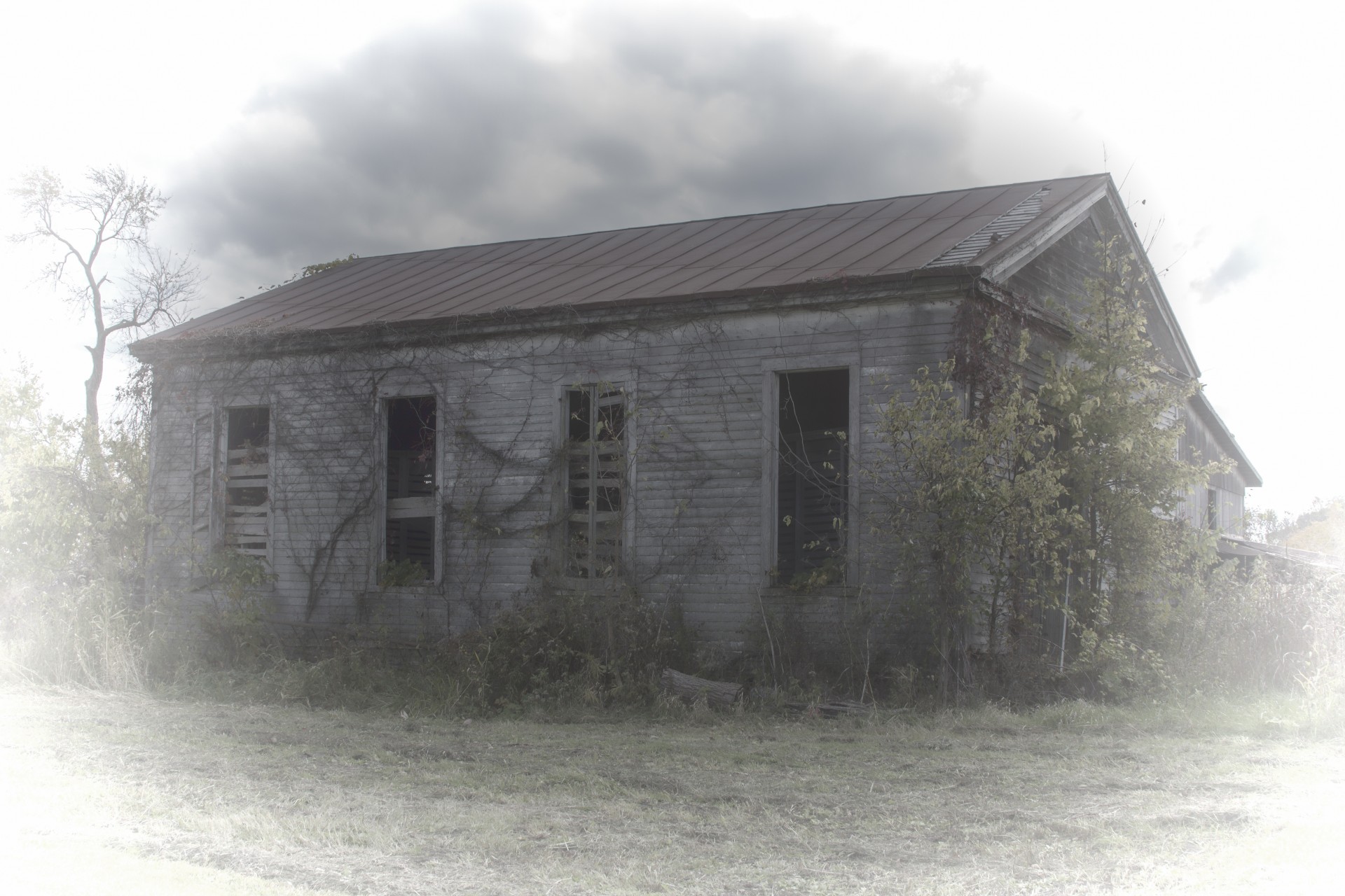 rural rural decay farm free photo