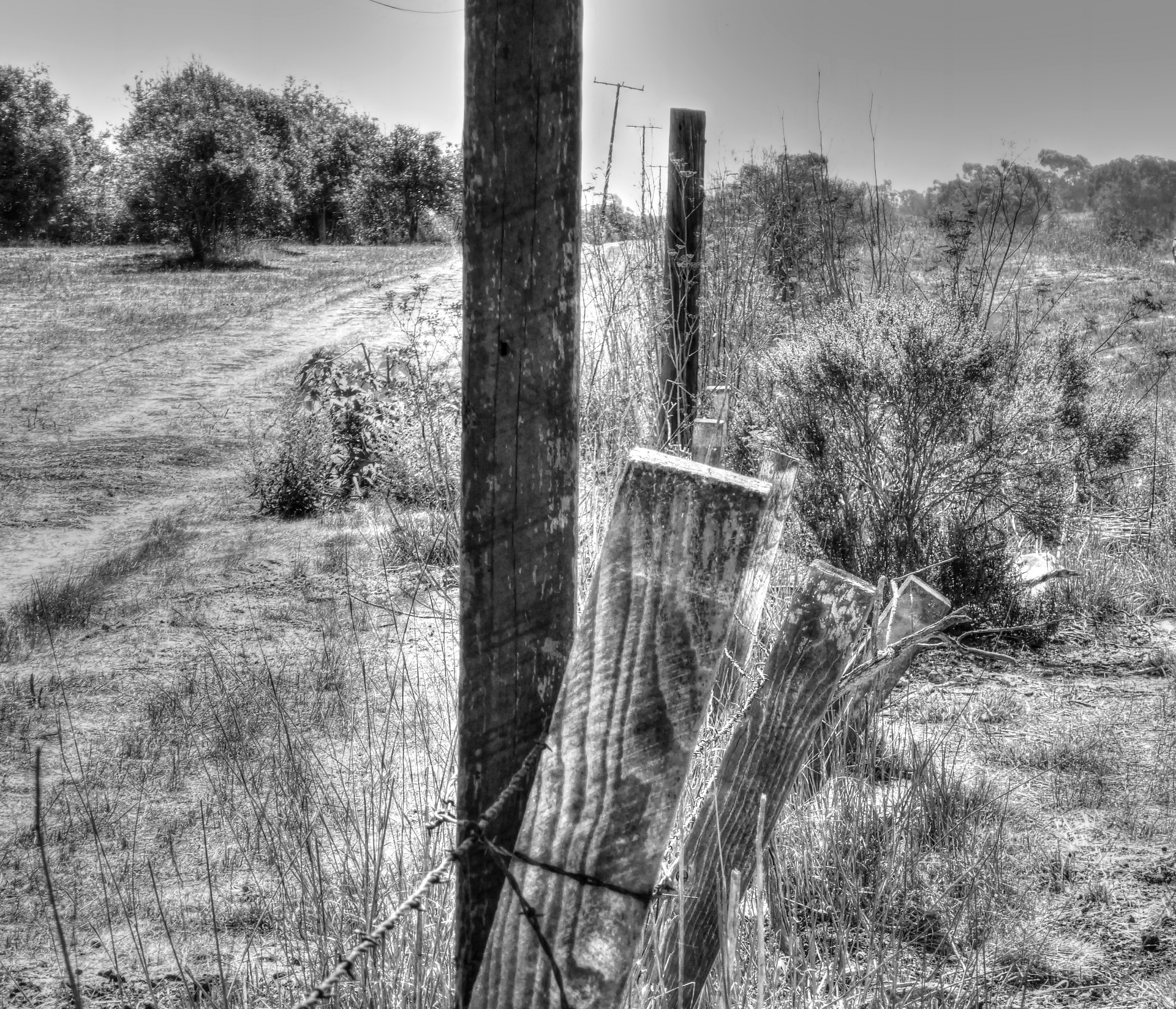 black white rural fence free photo
