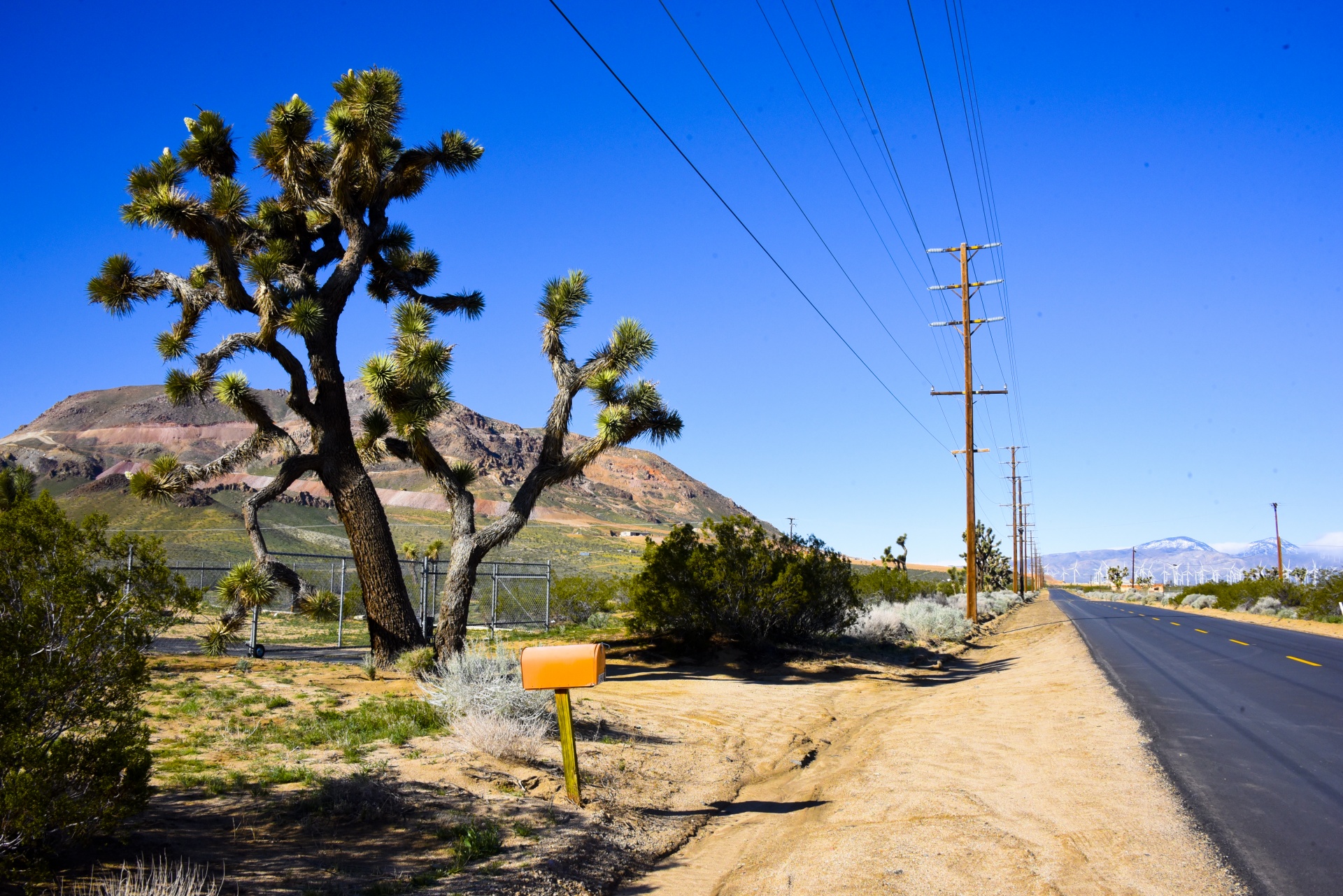 mailbox joshua tree highway free photo