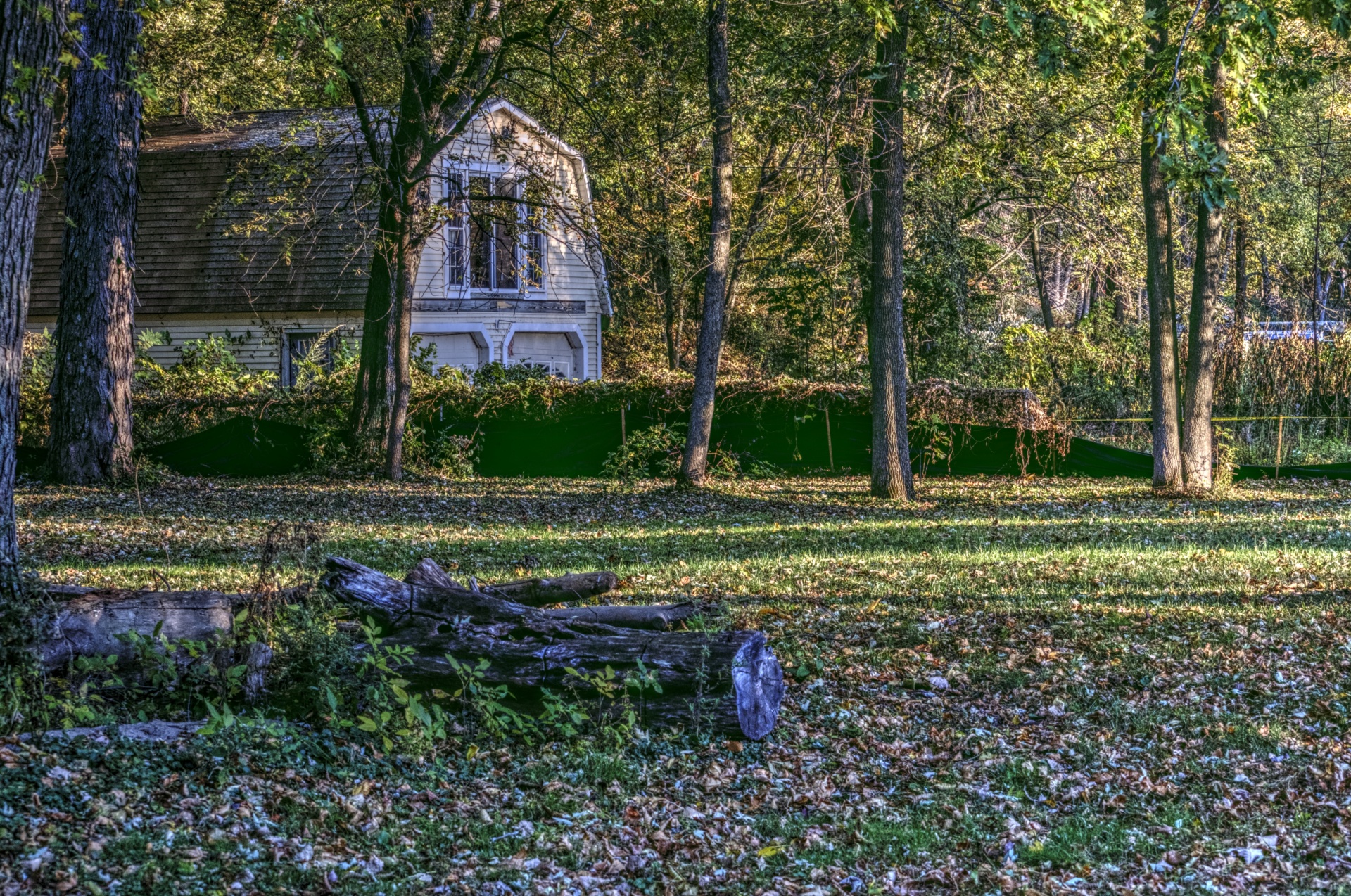 autumn fall foliage free photo