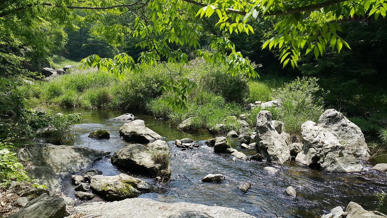 rural landscape stream landscape free photo