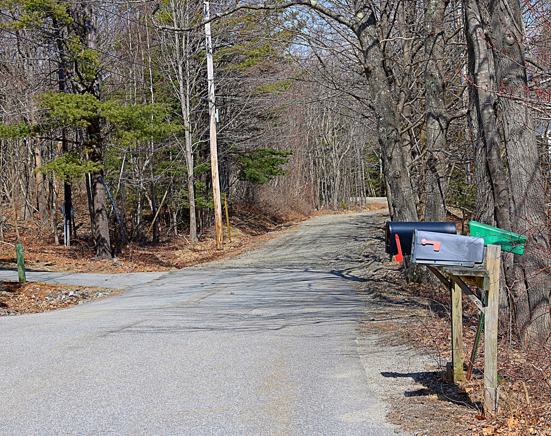 road dirt road rural free photo