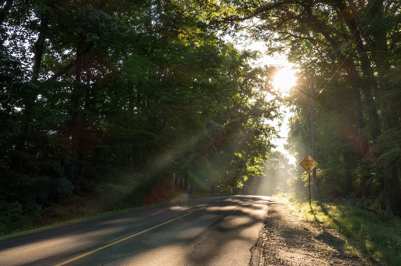 rural road sunbeams crepuscular rays free photo