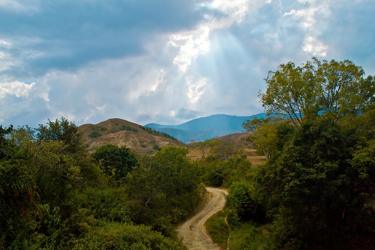 rural road colombia landscape free photo