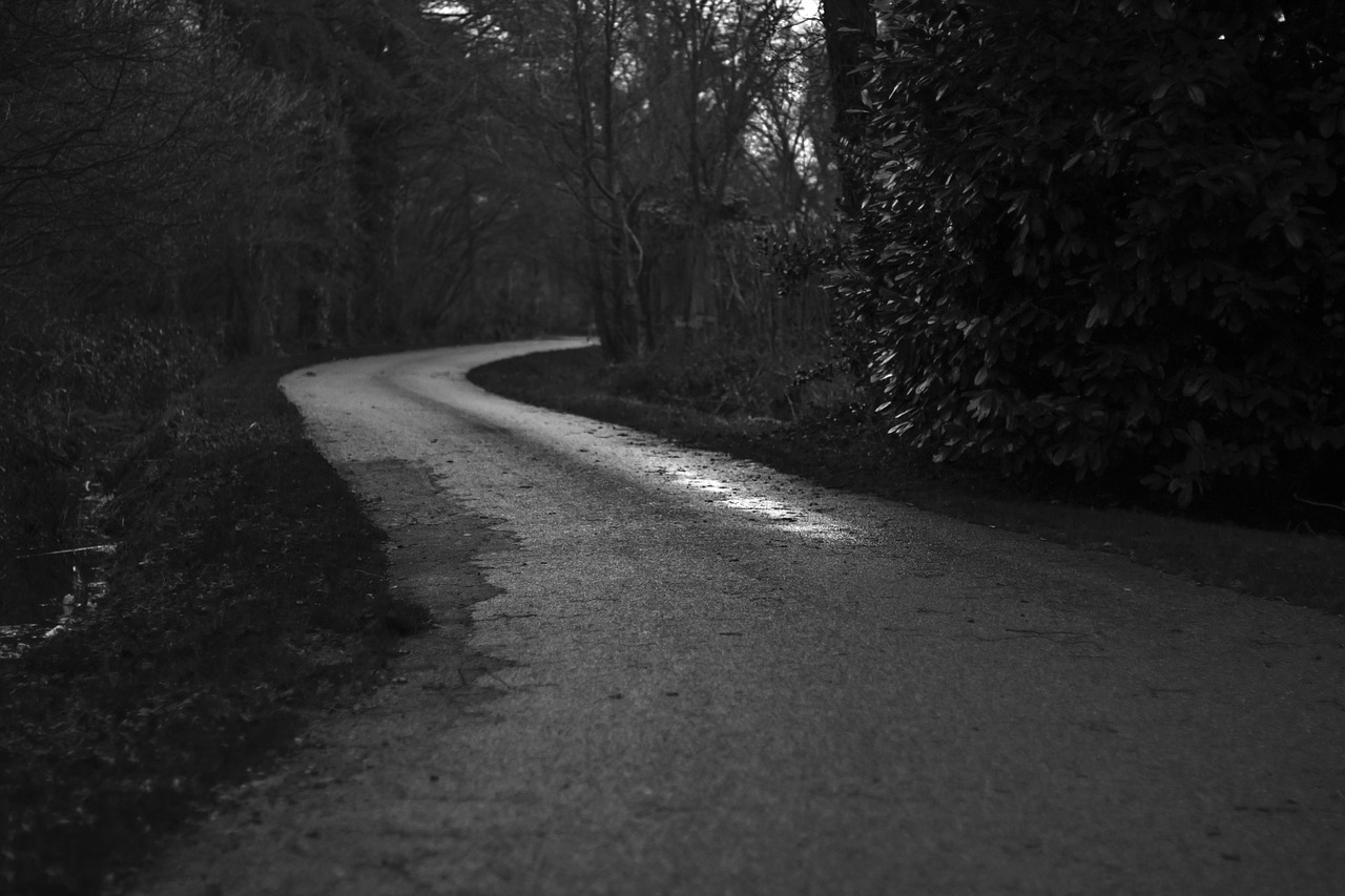 rural road road country lane free photo