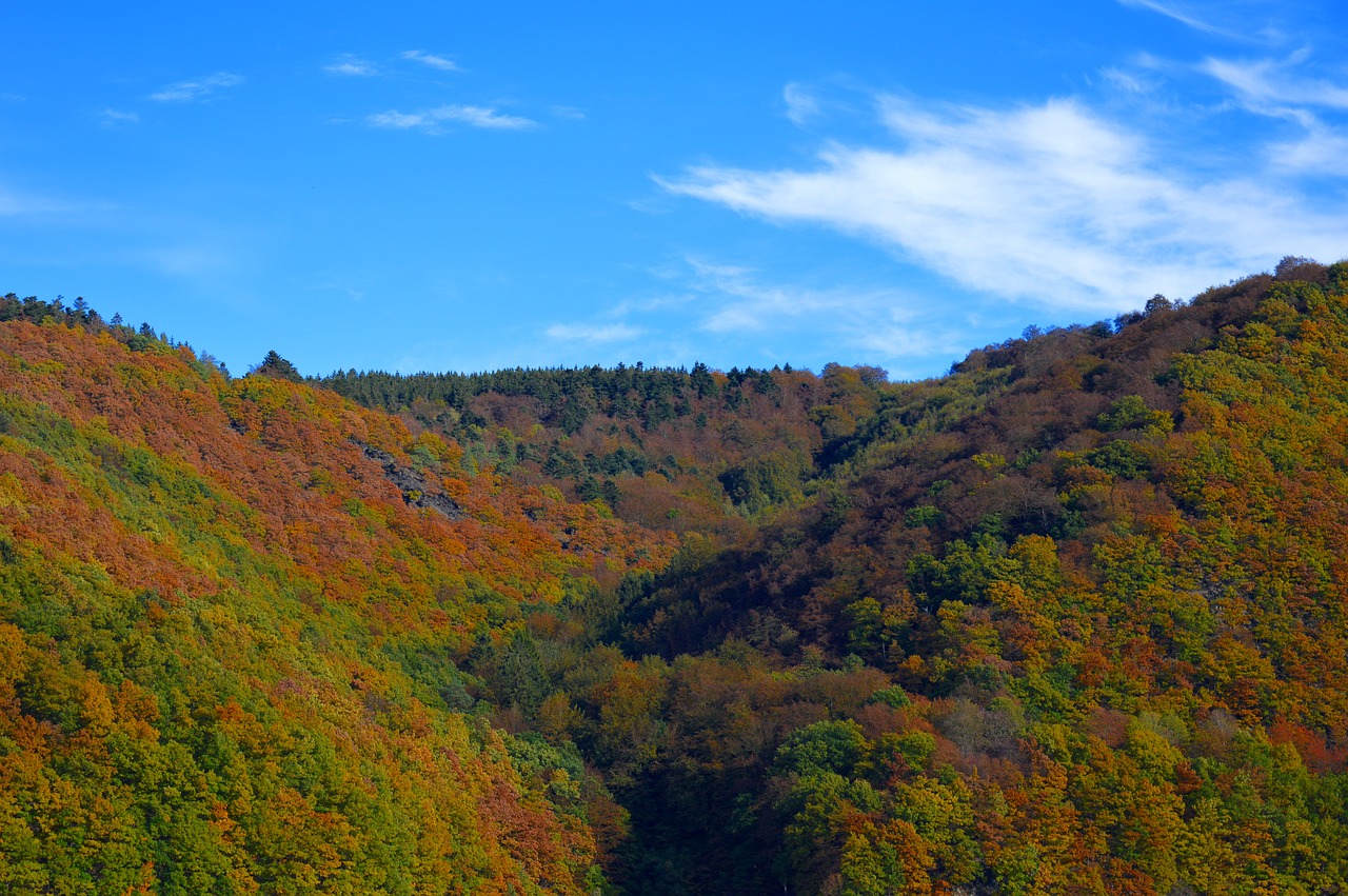 rurtalsperre eifel germany free photo