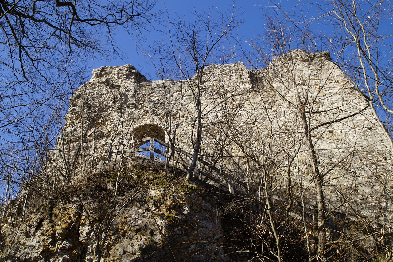rusenschloss ruin castle free photo