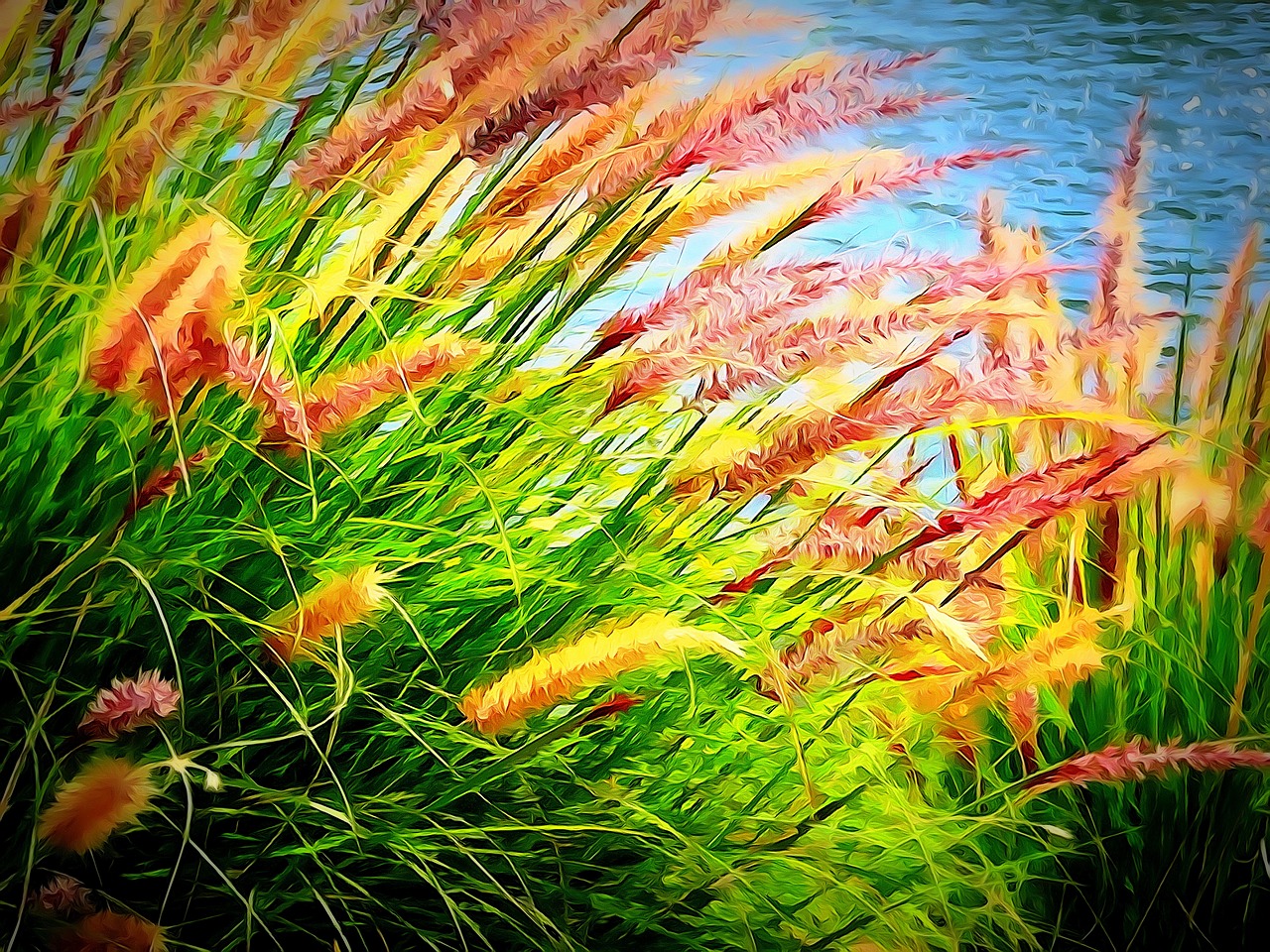 rushes waterside plant free photo