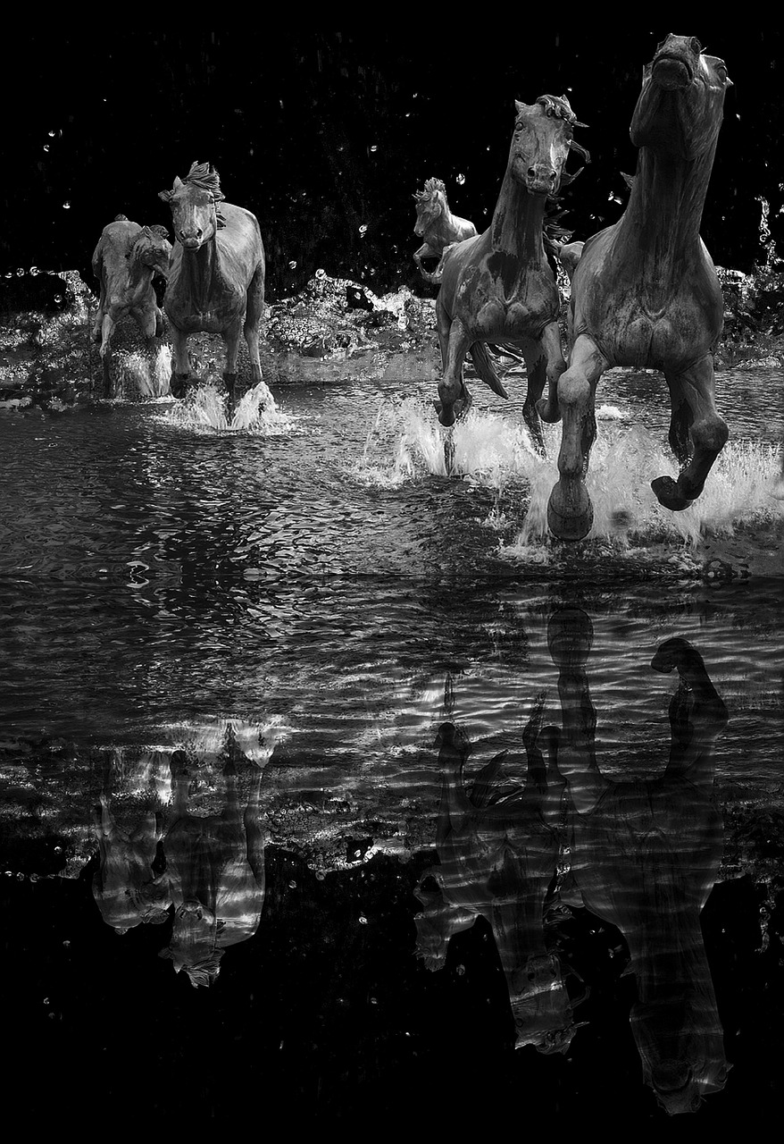 rushing horses black and white free photo