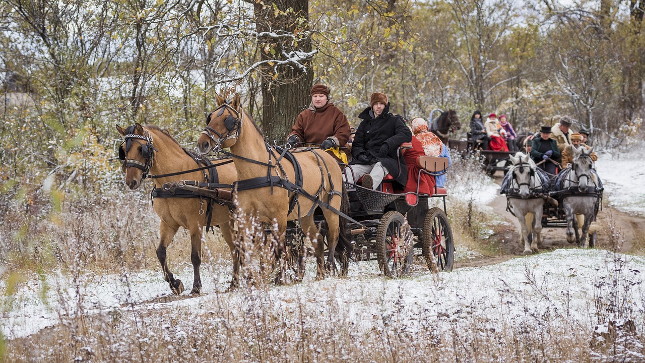 russia carriage culture free photo