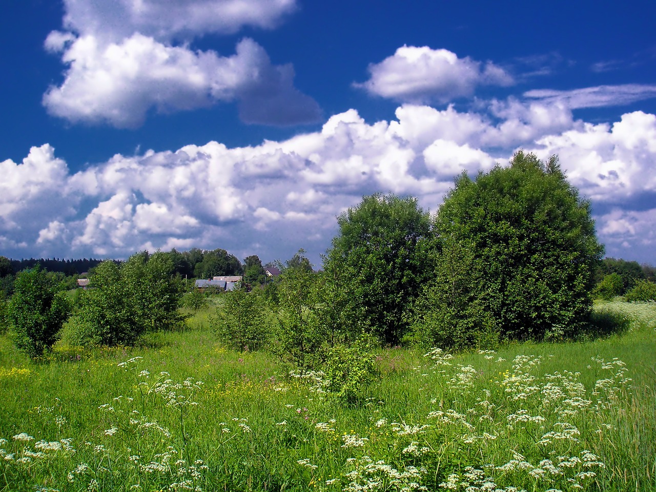 russia landscape scenic free photo